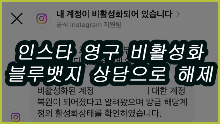 인스타 영구 강제 비활성화 블루뱃지 상담으로 푸는 방법 총정리 3가지