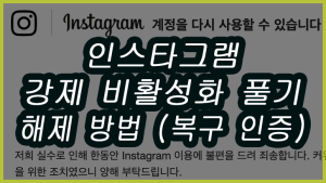 인스타그램 강제 비활성화 풀기, 해제 후 대처 방법 3가지 인스타그램 강제 비활성화 풀기, 해제 후 대처 방법 3가지