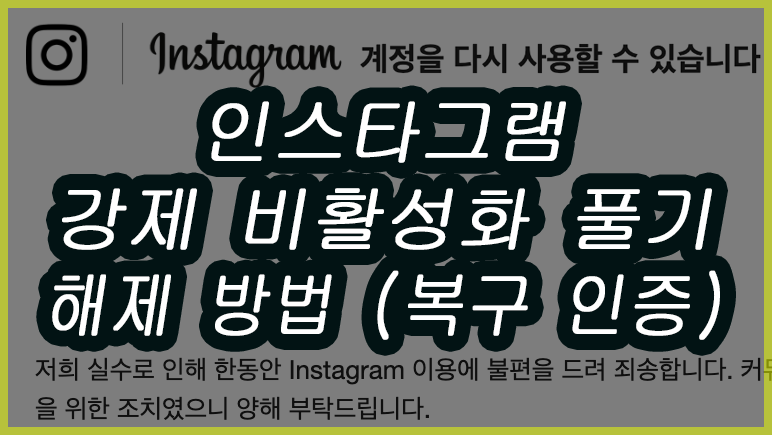 인스타그램 강제 비활성화 풀기, 해제 후 대처 방법 3가지