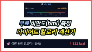 무료 다이어트 칼로리 계산기 및 비만도 BMI 측정 해드립니다.