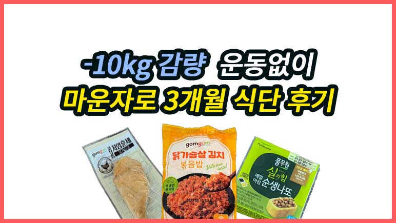 마운자로 식단 운동 없이 -10kg 도와준 3달 실제 후기