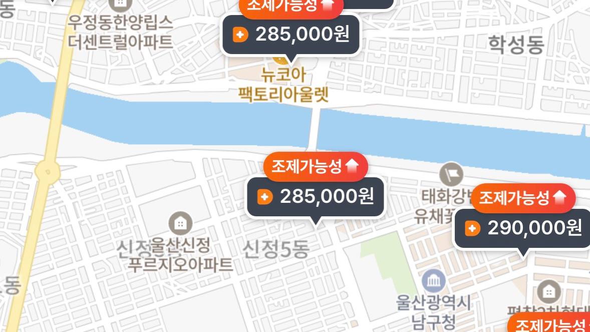 울산 마운자로 성지 병원 및 약국 처방비 약값 가격 비교 지도