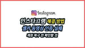 인스타그램 셀카 동영상 인증 실패 원인과 재촬영 전 준비, 반복 실패 시 계정 복구 대응 순서를 실제 운영 경험과 함께 정리합니다.